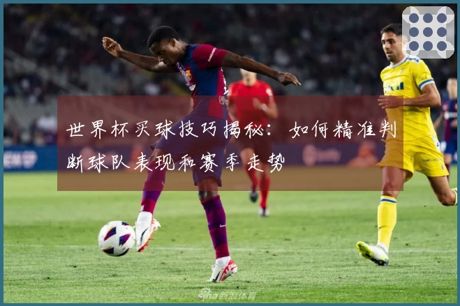 世界杯买球技巧揭秘：如何精准判断球队表现和赛季走势